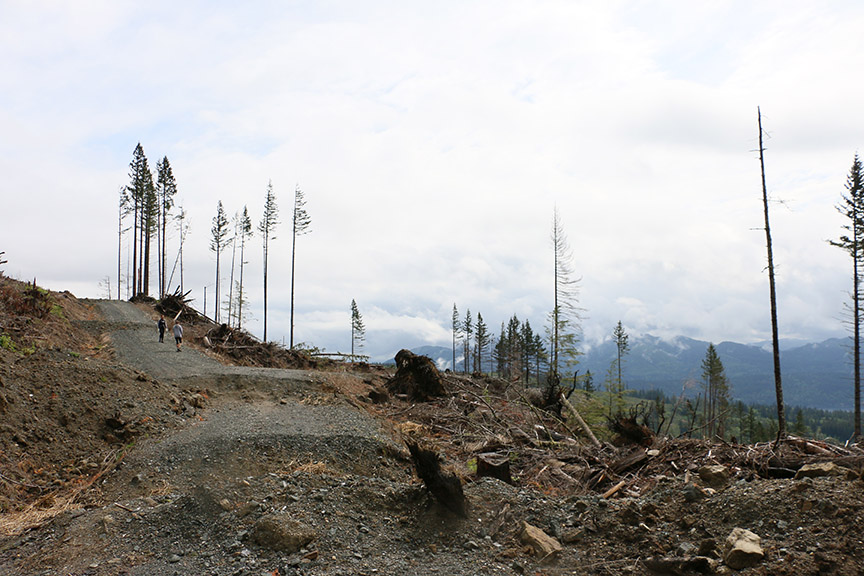 Clearcut Road